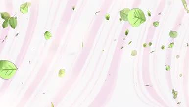 小清新唯美条纹花草生长视频动态背景视频的预览图